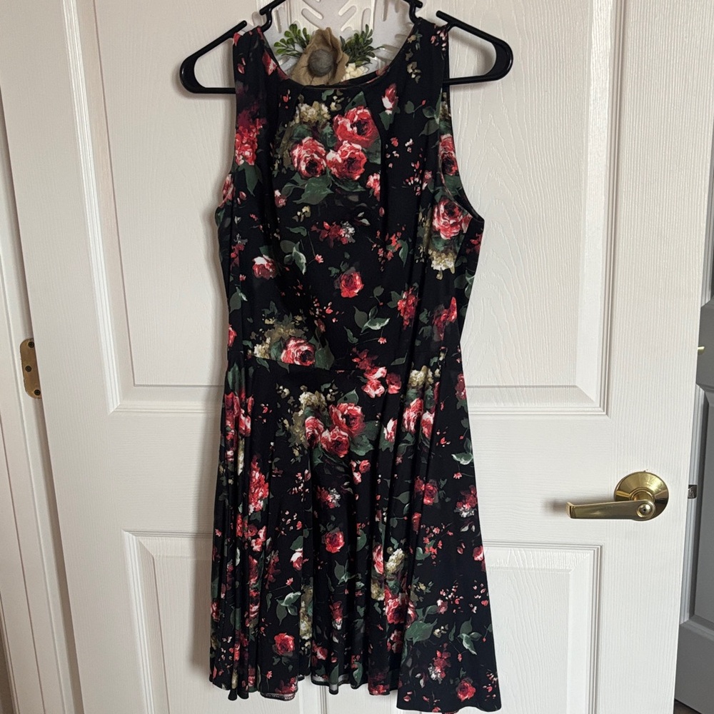 Luck Be A Lady Red Roses Black Modcloth Skater Dress